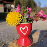 Casa de Férias Laerchenhaus ,,unterer Brodl