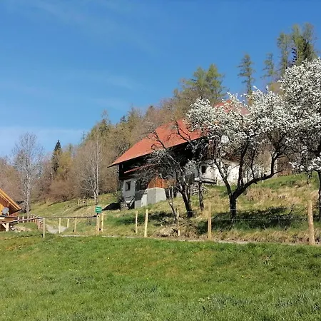 Hébergement de vacances Laerchenhaus ,,unterer Brodl