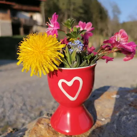 Hébergement de vacances Laerchenhaus ,,unterer Brodl