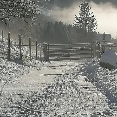 Laerchenhaus ,,unterer Brodl