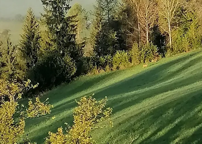 Laerchenhaus ,,unterer Brodl