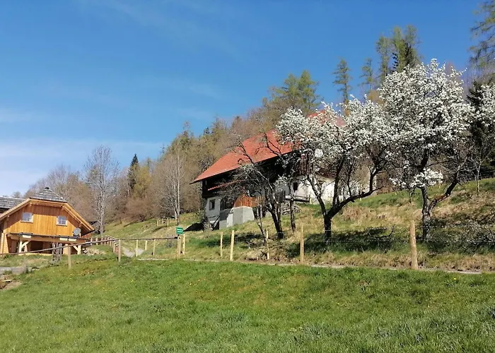 Nyaraló Laerchenhaus ,,unterer Brodl