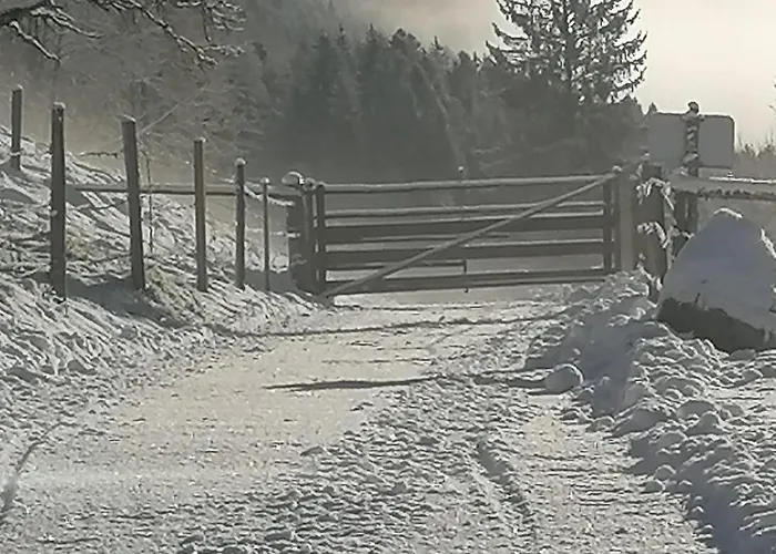 Laerchenhaus ,,unterer Brodl